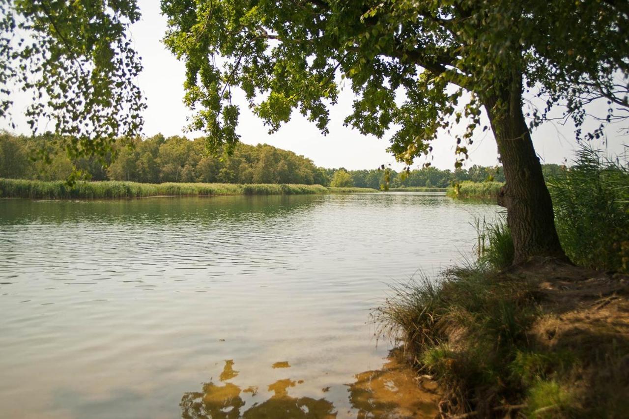 Hospoda-Ferienhaus Am Olba-See Malschwitz Εξωτερικό φωτογραφία