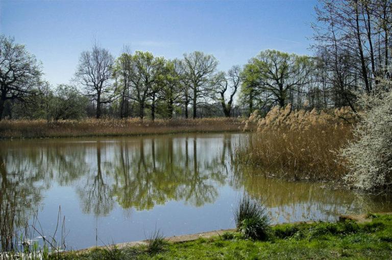 Hospoda-Ferienhaus Am Olba-See Malschwitz Εξωτερικό φωτογραφία